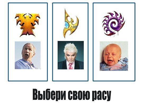 Starcraft: выбери свою расу