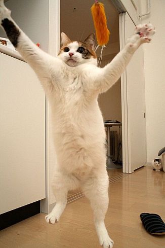 [не указано]